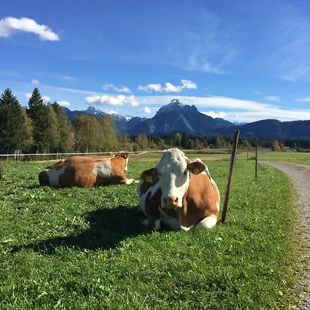 Alpenland Ferienwohnung